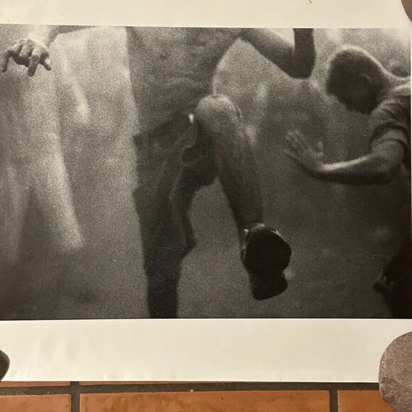 Janine Gordon Photograph Mosh Pit 20"x24" Print Randalls Island Whitney Museum - Picture 3 of 5